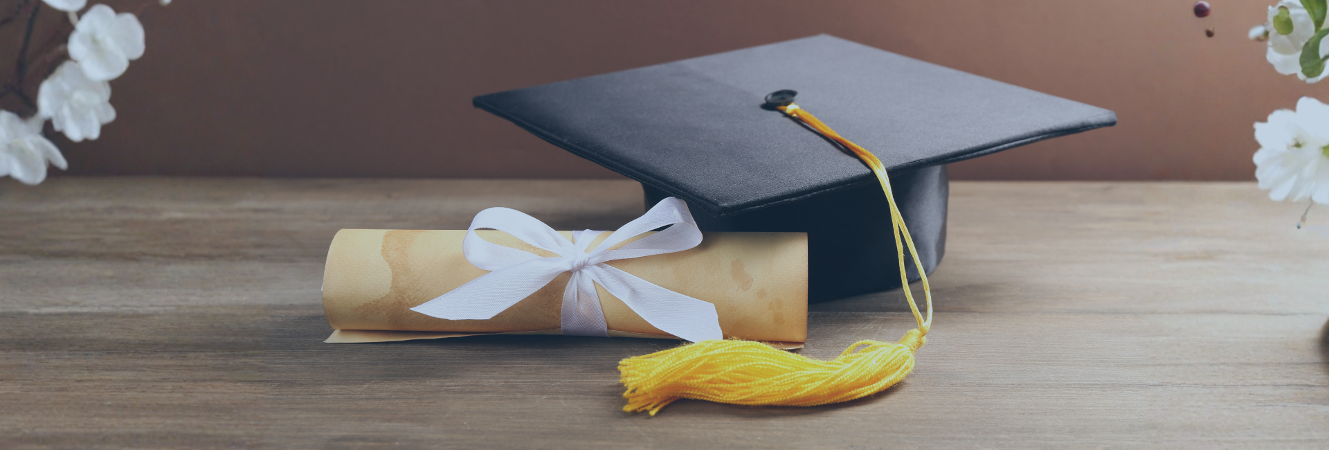 VSŠ DOBA prejela Diplomo odličnosti